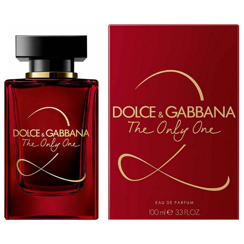 dolce gabbana the only you