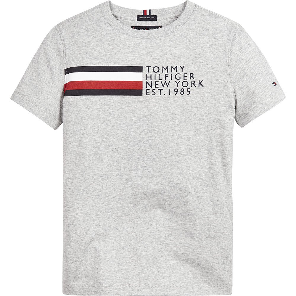   Global Stripe Graphic Short Sleeve TShirt 