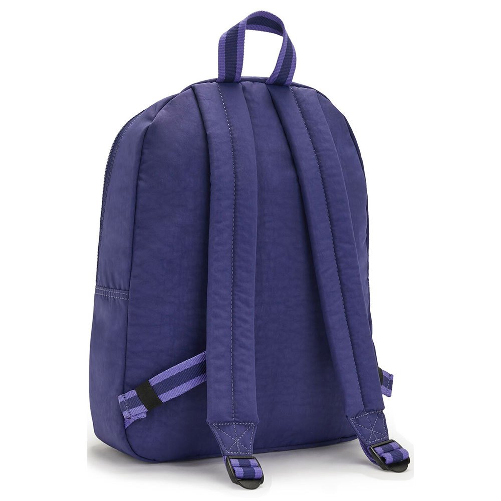 Kipling Curtis M 18L Backpack 