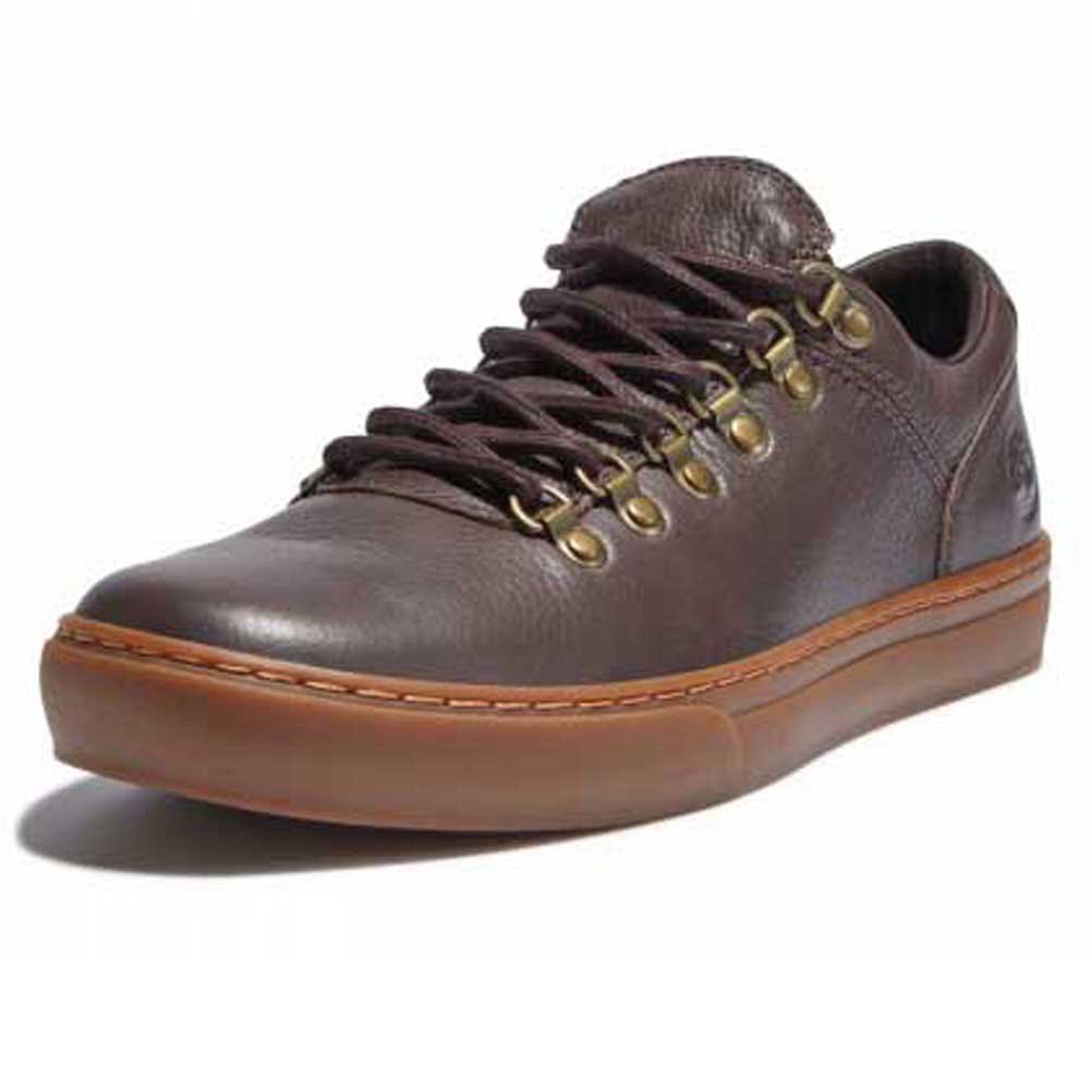 Shoes Timberland Adventure 2.0 Alpine Oxford Shoes Brown
