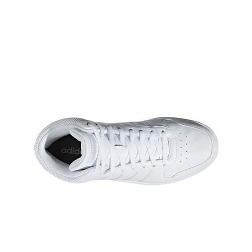 Baskets adidas Baskets Hoops 20 Mid White