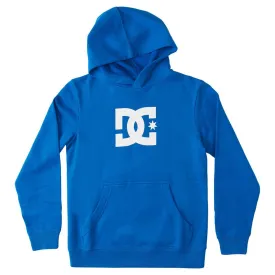dc hoodie