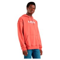 levis---sudadera-con-capucha-t2-relaxed-graphic