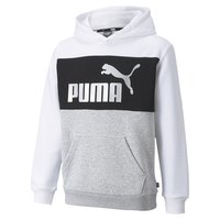 puma-sweat-a-capuche-essential-colorblock