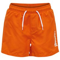 hummel-bondi-swimming-shorts
