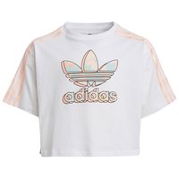 adidas-originals-crop-short-sleeve-t-shirt