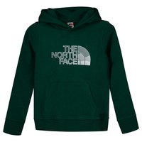 the-north-face-biner-graphic-hoodie