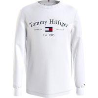 tommy-hilfiger-langarmad-t-shirt-artwork