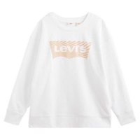 levis---plus-graphic-standard-sweatshirt