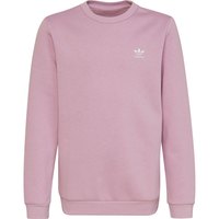 adidas-originals-adicolor-crew-sweatshirt