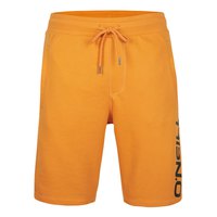 oneill-n02500-n02500-sweat-shorts