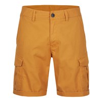 oneill-pantalons-cargo-n2700000-beach-break