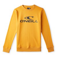 oneill-n4750003-n4750003-boy-sweatshirt