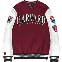 replay-dyed-brushed-cotton-sweatshirt