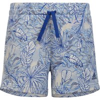 adidas-summer-aop-shorts
