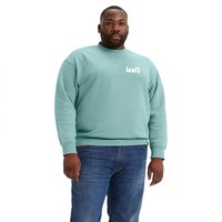 levis---big-relaxed-graphic-pullover