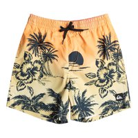 quiksilver-everyday-paradise-14-youth-swimming-shorts