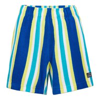 oneill-brights-terry-shorts