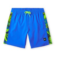 oneill-cali-panel-14-swimming-shorts