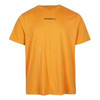 oneill-camiseta-manga-corta-future-surf-back