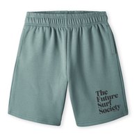oneill-pantalones-cortos-future-surf