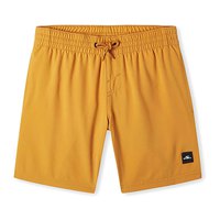 oneill-future-surf-society-14-swimming-shorts