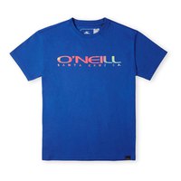 oneill-sanborn-short-sleeve-t-shirt