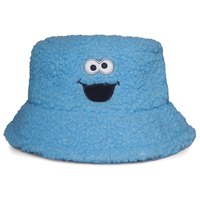 difuzed-beanie-cookie-monster