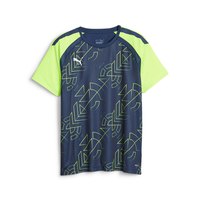 puma-kortarmad-t-shirt-team-liga-graphic