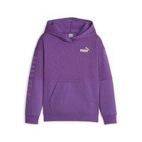 puma-power-logo-love-colorblock-g-hoodie