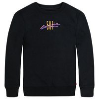 levis---501-archival-teen-sweatshirt