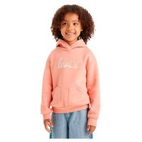 levis---poster-logo-kids-hoodie
