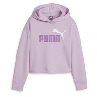 puma-ess--2-color-logo-length-hoodie