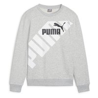 puma-power-graphic-b-pullover