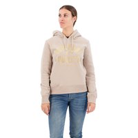 superdry-luxe-metallic-logo-hoodie