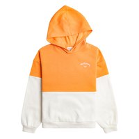 roxy-dreams-for-plans-hoodie