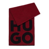 hugo-echarpe-10252714