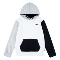 levis---color-blocked-hoodie