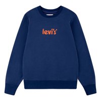 levis---poster-logo-bluza