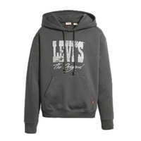 levis---graphic-signature-hoodie