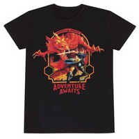 heroes-dungeons-and-dragons-adventure-awaits-short-sleeve-t-shirt
