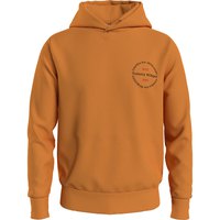 tommy-hilfiger-roundel-hoodie