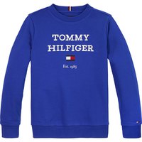 tommy-hilfiger-kb0kb08713-pullover
