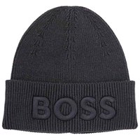 boss-afox-10252008-beanie