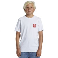 quiksilver-surf-boe-short-sleeve-t-shirt