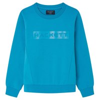 hackett-essential-sp-youth-sweatshirt