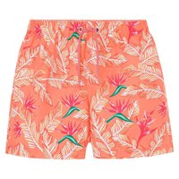 hackett-paradise-swimming-shorts