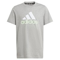 adidas-camiseta-de-manga-corta-essentials-2-big-logo