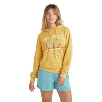 oneill-beach-vintage-hoodie