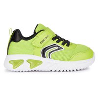 geox-chaussures-assister